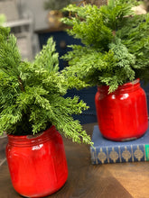 Load image into Gallery viewer, Red Mason Jar Arrangement