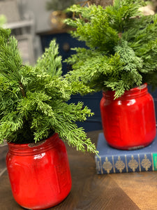 Red Mason Jar Arrangement